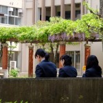 2016_0502校内_中庭昼食s03