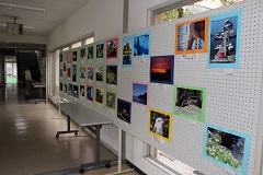2016_0506MCF展示s010