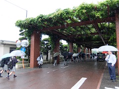 2016_0509あいさつ運動s003