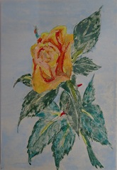 DSC01221s