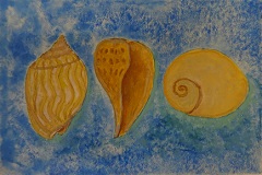 DSC01223s