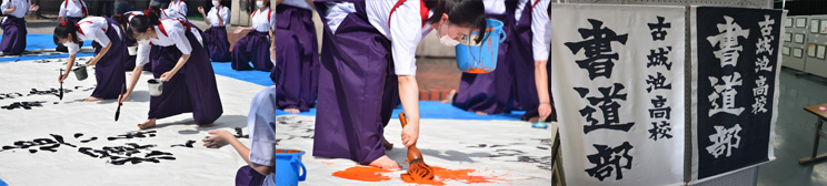 活動の様子