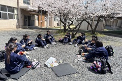 桜と女バス